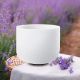 images/products/music/white-frosted-quartz-crystal-singing-bowl/000.jpg