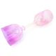 images/products/handheld-singing-bowl/2307/purple-and-pink-double-headed-crystal-handheld-singing-bowl-stsc-001/008.jpg