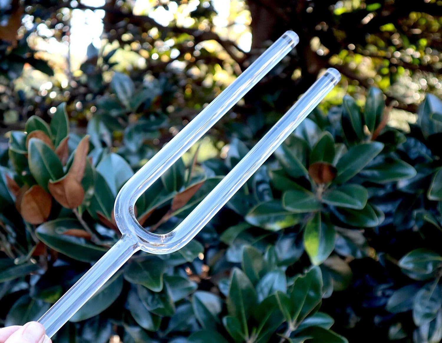 images/products/tuning-fork/clear-quartz-crystal-tuning-fork/clear-quartz-crystal-tuning-fork_04.jpg